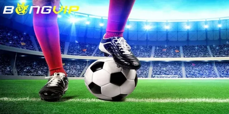 Nhà Cái Bongvip Nền Tảng Cá Độ Thể Thao Và Xem Bóng Đá Trực Tuyến