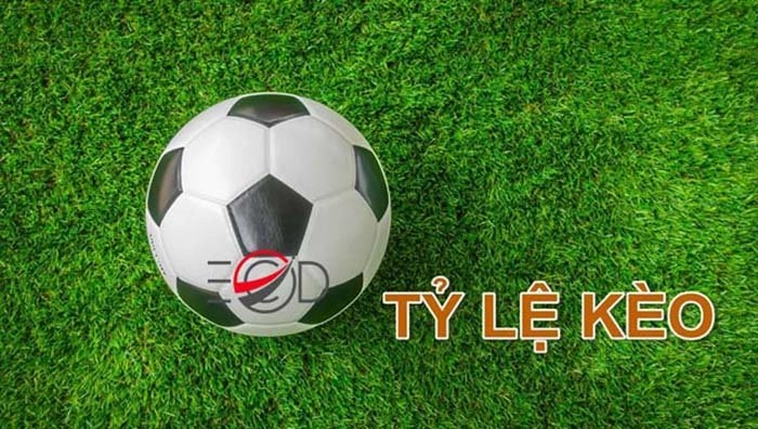 Sự đa dạng trong bảng kèo và tỷ lệ thưởng cạnh tranh chính là thỏi nam châm thu hút hàng triệu bet thủ tham gia trải nghiệm mỗi ngày